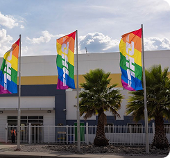 Pride Kollektion image